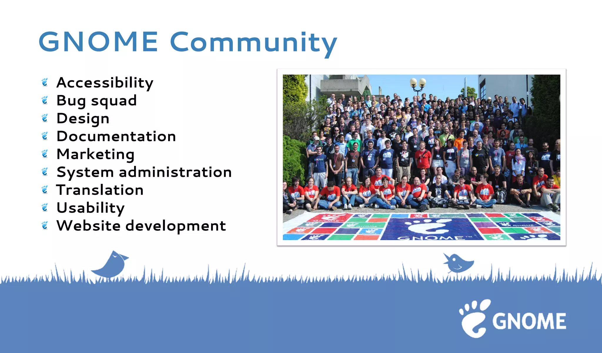 GNOME Community Accessibility 
Bug squad 
Design 
Documentation 
Marketing 
System administration 
Translation 
Usability 
Website development 
 