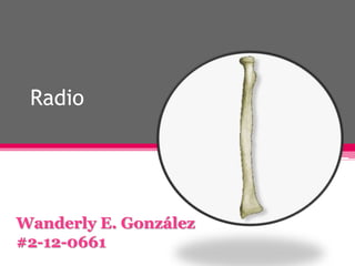 Radio
Wanderly E. González
#2-12-0661
 