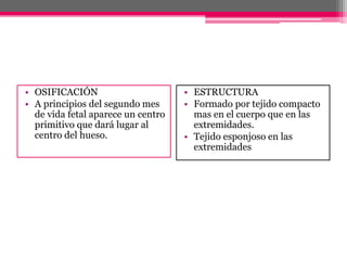 • OSIFICACIÓN
• A principios del segundo mes
de vida fetal aparece un centro
primitivo que dará lugar al
centro del hueso.
• ESTRUCTURA
• Formado por tejido compacto
mas en el cuerpo que en las
extremidades.
• Tejido esponjoso en las
extremidades
 