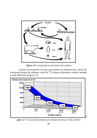 40
Figura 2.6: transferência de átomos de carbono
A partir do momento em que uma planta ou animal morre, deixa de
incorporar átomos de carbono: o teor de 14
C começa a diminuir, caindo à metade
a cada 5600 anos (Figura 2.7).
0 5730
T ½
11460
2 T ½
18190
3 T ½
22920
4 T ½
10000
5000
2500
1250
6250
2500
5000
7500
10000
12500
Número de núcleo de C-14
Tempo (anos)
F
igura 2.7: curva de decaimento do isótopo de massa 14 do carbono
 