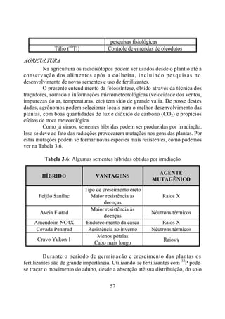 57
pesquisas fisiológicas
Tálio (80
Tl) Controle de emendas de oleodutos
AGRICULTURA
Na agricultura os radioisótopos podem ser usados desde o plantio até a
conservação dos alimentos após a colheita, incluindo pesquisas no
desenvolvimento de novas sementes e uso de fertilizantes.
O presente entendimento da fotossíntese, obtido através da técnica dos
traçadores, somado a informações micrometeorológicas (velocidade dos ventos,
impurezas do ar, temperaturas, etc) tem sido de grande valia. De posse destes
dados, agrônomos podem selecionar locais para o melhor desenvolvimento das
plantas, com boas quantidades de luz e dióxido de carbono (CO2) e propícios
efeitos de troca meteorológica.
Como já vimos, sementes híbridas podem ser produzidas por irradiação.
Isso se deve ao fato das radiações provocarem mutações nos gens das plantas. Por
estas mutações podem se formar novas espécies mais resistentes, como podemos
ver na Tabela 3.6.
Tabela 3.6: Algumas sementes híbridas obtidas por irradiação
HÍBRIDO VANTAGENS
AGENTE
MUTAGÊNICO
Feijão Sanilac
Tipo de crescimento ereto
Maior resistência às
doenças
Raios X
Aveia Florad
Maior resistência às
doenças
Nêutrons térmicos
Amendoim NC4X Endurecimento da casca Raios X
Cevada Pennrad Resistência ao inverno Nêutrons térmicos
Cravo Yukon 1
Menos pétalas
Cabo mais longo
Raios γ
Durante o período de germinação e crescimento das plantas os
fertilizantes são de grande importância. Utilizando-se fertilizantes com 32
P pode-
se traçar o movimento do adubo, desde a absorção até sua distribuição, do solo
 