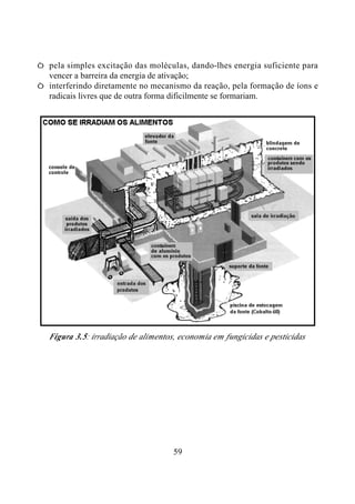 59
Ø pela simples excitação das moléculas, dando-lhes energia suficiente para
vencer a barreira da energia de ativação;
Ø interferindo diretamente no mecanismo da reação, pela formação de íons e
radicais livres que de outra forma dificilmente se formariam.
Figura 3.5: irradiação de alimentos, economia em fungicidas e pesticidas
 