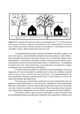 73
Figura 5.1: esquema dos diversos meios de propagação do 137
Cs: (1)trans-porte
por pessoas e animais; (2)poeira levantada do solo; (3)penetração vertical no
solo; (4)absorção pelo sistema radicular da mangueira; (5)transporte através
das folhas e frutos; (6)movimento horizontal no solo.
A descontaminação da pele consistia em banhos com água e sabão e, em
casos mais graves, eram utilizadas pomadas à base de lanolina e óxido titânico.
Estas pomadas funcionam como uma cola que, ao ser removida, limpa a pele,
descamando-a. Ainda foram utilizados cremes à base de azul da prússia, que é
uma mistura de ferro (Fe) com ferrocianeto férrico - Fe4[Fe(CN)6]3 - na proporção
de quatro para três. Estas aplicações eram indicadas em função do estágio
avançado em que se encontravam as dermatites.
O azul da prússia também foi utilizado na descontaminação interna do
organismo. O césio normalmente expelido junto à urina era, também, expelido
junto às fezes com o auxílio do azul da prússia. O acompanhamento da
intensidade das radiações emitidas pelas fezes e urina indicava os níveis de
sucesso do método, que foram bons.
Os locais que eventualmente pudessem ter sido contaminados pelo pó
radioativo foram monitorados e, caso necessário, submetidos à descontaminação.
Materiais cimentados e concreto foram descontaminados através de lixamento
com uma mistura de alúmen e azul da prússia. Pisos encerados foram lavados
com soda cáustica e detergente ou com soluções não aquosas de ácido clorídrico.
Os terrenos sobre os quais estavam construídas as casas com maior taxa
de contaminação foram escavados para retirada do solo superficial e cobertos com
 