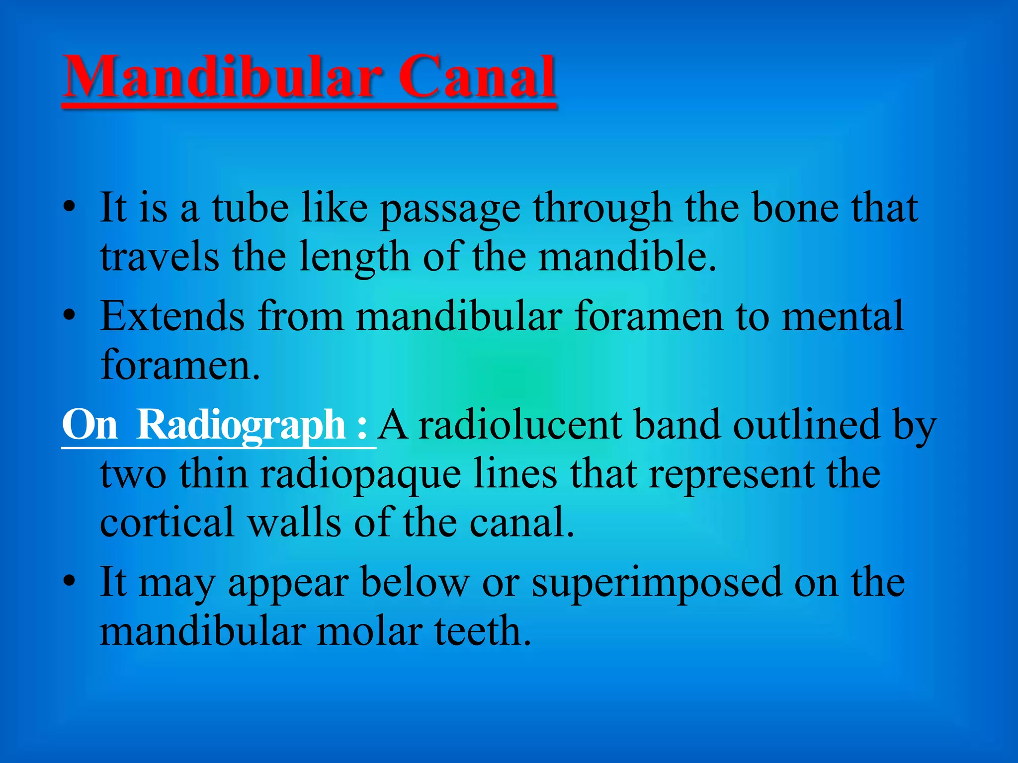 mandibular landmarks of radiograph | PPTX