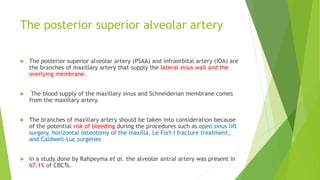 The posterior superior alveolar artery
 The posterior superior alveolar artery (PSAA) and infraorbital artery (IOA) are
the branches of maxillary artery that supply the lateral sinus wall and the
overlying membrane.
 The blood supply of the maxillary sinus and Schneiderian membrane comes
from the maxillary artery.
 The branches of maxillary artery should be taken into consideration because
of the potential risk of bleeding during the procedures such as open sinus lift
surgery, horizontal osteotomy of the maxilla, Le Fort I fracture treatment,
and Caldwell-Luc surgeries
 In a study done by Rahpeyma et al. the alveolar antral artery was present in
67.1% of CBCTs.
 