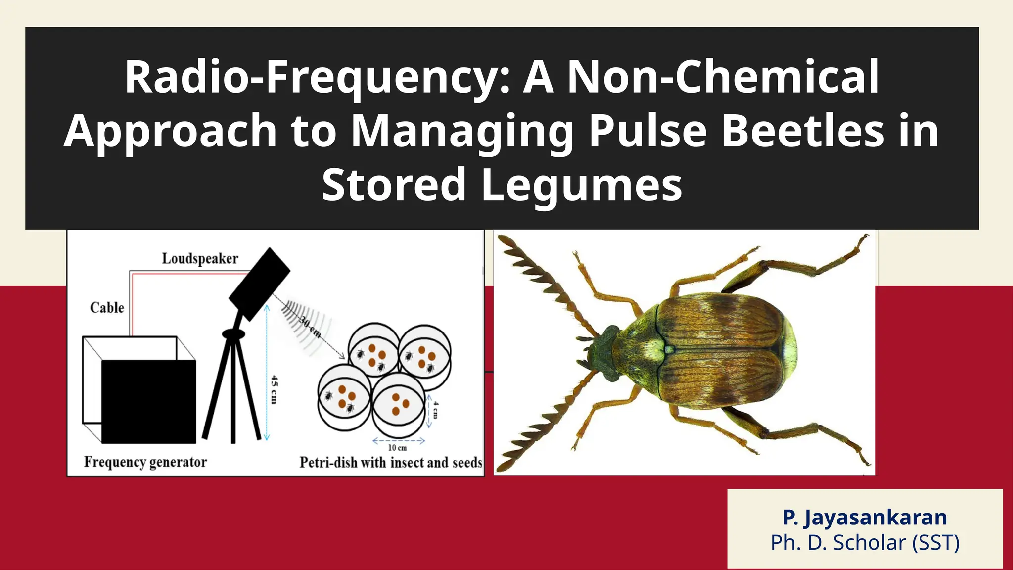 Radio-Frequency A Non-Chemical Approach to Managing Pulse Beetles in ...