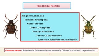 Radio-Frequency A Non-Chemical Approach to Managing Pulse Beetles in ...