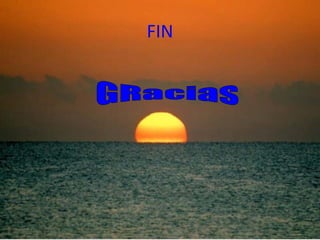FIN GRacias 