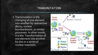 Radioactive Transmutation Radioactive decay half-life calculation | PPTX