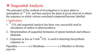 Sequential Analysis
The principal of this method of investigation is to grow plant in
atmosphere of CO2 and then analyze the plant at given interval to obtain
the sequence in which various correlated compound become labelled.
• Application:
1. CO2 and sequential analysis has been very successful used in
elucidation of carbon in photosynthesis.
2. Determination of sequential formation of opium hemlock and tobacco
alkaloids.
3. Exposure as less as 5 min CO2 is used in detecting biosynthetic
sequence as –
Piperdine ------------(-) Menthone ------------- (-) Menthol in Mentha
piperita
14
14
14
 