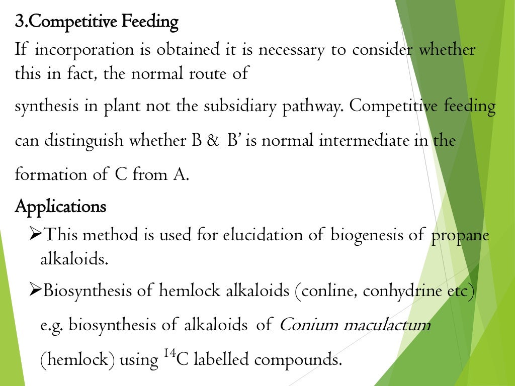 3.Competitive Feeding
If incorporation is obtained it is necessary to consider whether
this in fact, the normal route of
synthesis in plant not the subsidiary pathway. Competitive feeding
can distinguish whether B & B’ is normal intermediate in the
formation of C from A.
Applications
This method is used for elucidation of biogenesis of propane
alkaloids.
Biosynthesis of hemlock alkaloids (conline, conhydrine etc)
e.g. biosynthesis of alkaloids of Conium maculactum
(hemlock) using 14
C labelled compounds.
 