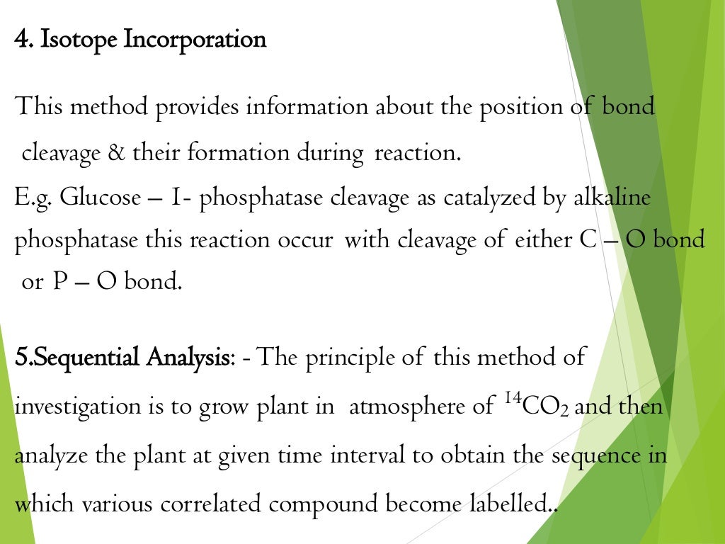 4. Isotope Incorporation
This method provides information about the position of bond
cleavage & their formation during reaction.
E.g. Glucose – 1- phosphatase cleavage as catalyzed by alkaline
phosphatase this reaction occur with cleavage of either C – O bond
or P – O bond.
5.Sequential Analysis: -The principle of this method of
investigation is to grow plant in atmosphere of 14
CO2 and then
analyze the plant at given time interval to obtain the sequence in
which various correlated compound become labelled..
 