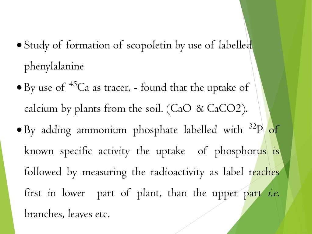  Study of formation of scopoletin by use of labelled
phenylalanine
 By use of 45
Ca as tracer, - found that the uptake of
calcium by plants from the soil. (CaO & CaCO2).
 By adding ammonium phosphate labelled with 32
P of
known specific activity the uptake of phosphorus is
followed by measuring the radioactivity as label reaches
first in lower part of plant, than the upper part i.e.
branches, leaves etc.
 