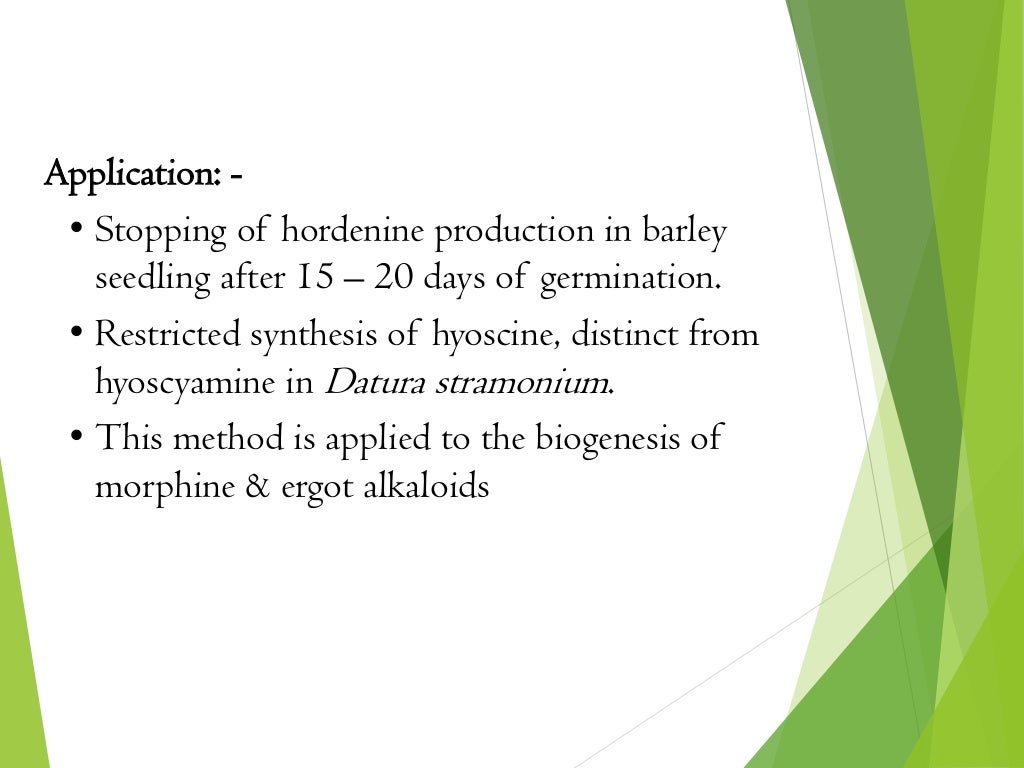 Application: -
• Stopping of hordenine production in barley
seedling after 15 – 20 days of germination.
• Restricted synthesis of hyoscine, distinct from
hyoscyamine in Datura stramonium.
• This method is applied to the biogenesis of
morphine & ergot alkaloids
 