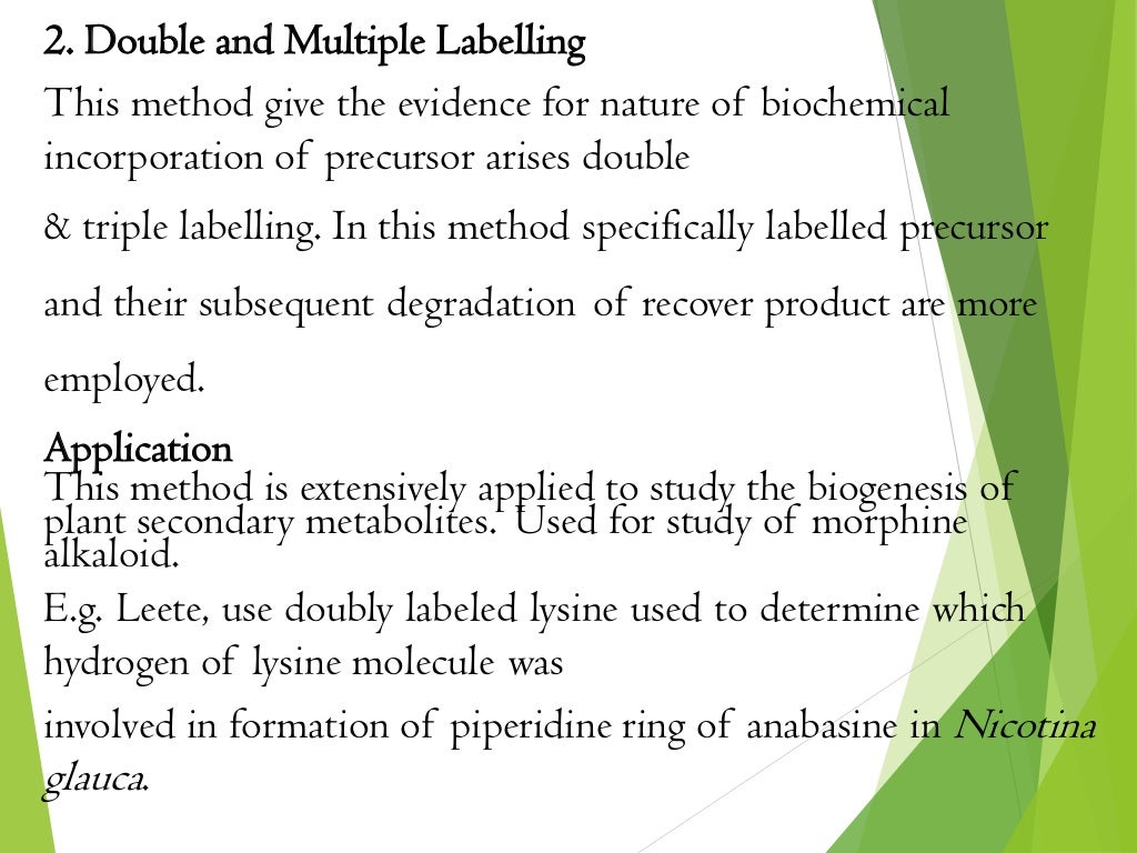 2. Double and Multiple Labelling
This method give the evidence for nature of biochemical
incorporation of precursor arises double
& triple labelling. In this method specifically labelled precursor
and their subsequent degradation of recover product are more
employed.
Application
This method is extensively applied to study the biogenesis of
plant secondary metabolites. Used for study of morphine
alkaloid.
E.g. Leete, use doubly labeled lysine used to determine which
hydrogen of lysine molecule was
involved in formation of piperidine ring of anabasine in Nicotina
glauca.
 