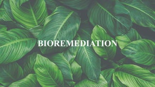 BIOREMEDIATION
 