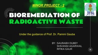 BIOREMEDIATION OF
RADIOACTIVE WASTE
BY : SAURABH DUBEY
SHIVANGI AGARWAL
RITIKA GAUR
Under the guidance of Prof. Dr. Pammi Gauba
MINOR PROJECT - 2
 