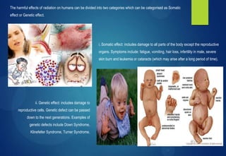 Somatic Effect Radioactivity | PPTX