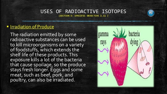 the best free online dating site