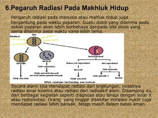 6.Pegaruh Radiasi Pada Makhluk Hidup 
Pengaruh radiasi pada manusia atau mahluk hidup juga 
bergantung pada waktu paparan. Suatu dosis yang diterima pada 
sekali paparan akan lebih berbahaya daripada bila dosis yang 
sama diterima pada waktu yang lebih lama. 
Secara alami kita mendapat radiasi dari lingkungan, misalnya 
radiasi sinar kosmis atau radiasi dari radioakif alam. Disamping itu, 
dari berbagai kegiatan seperti diagnosa atau terapi dengan sinar X 
atau radioisotop. Orang yang tinggal disekitar instalasi nuklir juga 
mendapat radiasi lebih banyak, tetapi masih dalam batas aman. 
 
