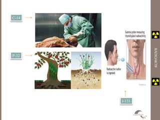 RADIOAKTIF 
C-14 
P-32 
I-131 
 