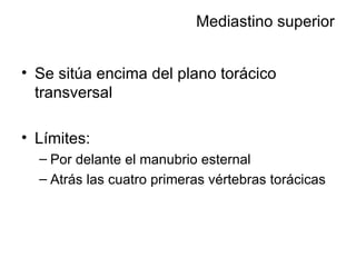 Mediastino superior Se sitúa encima del plano torácico transversal Límites:  Por delante el manubrio esternal Atrás las cuatro primeras vértebras torácicas 