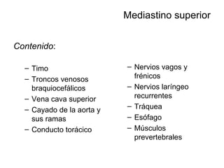 Mediastino superior Contenido : Timo Troncos venosos braquiocefálicos Vena cava superior Cayado de la aorta y sus ramas Conducto torácico Nervios vagos y frénicos Nervios laríngeo recurrentes Tráquea Esófago Músculos prevertebrales 