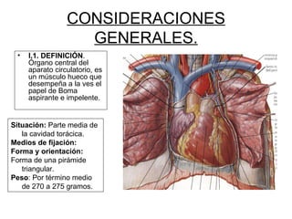 CONSIDERACIONES GENERALES. I.1. DEFINICIÓN . Órgano central del aparato circulatorio, es un músculo hueco que desempeña a la ves el papel de Boma aspirante e impelente. Situación:  Parte media de la cavidad torácica.  Medios de fijación:   Forma y orientación: Forma de una pirámide triangular. Peso : Por término medio de 270 a 275 gramos. 