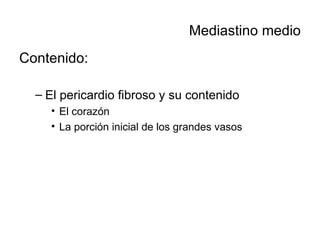 Mediastino medio Contenido: El pericardio fibroso y su contenido El corazón La porción inicial de los grandes vasos 