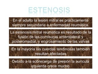 En el adulto la lesión mitral es prácticamente siempre secundaria a enfermedad reumática. La estenosis mitral reumática es resultado de la fusión de las comisuras anterolateral y posteromedial, y engrosamiento de las valvas En la mayoría las cuerdas tendinosas también resultan afectadas Debido a la sobrecarga de presión la aurícula izquierda crece mucho. 