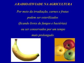 Por meio da irradiação, carnes e frutas 
podem ser esterilizados 
(ficando livres de fungos e bactérias) 
ou ser conservados por um tempo 
mais prolongado 
A RADIOATIVIADE NA AGRICULTURA  