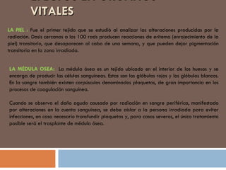 EFECTOS EN ÓRGANOS VITALES  LA  PIEL  :  Fue el primer tejido que se estudió al analizar las alteraciones producidas por la radiación. Dosis cercanas a los 100 rads producen reacciones de eritema (enrojecimiento de la piel) transitorio, que desaparecen al cabo de una semana, y que pueden dejar pigmentación transitoria en la zona irradiada. LA MÉDULA OSEA:  La médula   ósea es un tejido ubicado en el interior de los huesos y se encarga de producir las células sanguíneas. Estas son los glóbulos rojos y los glóbulos blancos. En la sangre también existen corpúsculos denominados plaquetas, de gran importancia en los procesos de coagulación sanguínea.   Cuando se observa el daño agudo causado por radiación en sangre periférica, manifestado por alteraciones en la cuenta sanguínea, se debe aislar a la persona irradiada para evitar infecciones, en caso necesario transfundir plaquetas y, para casos severos, el único tratamiento posible será el trasplante de médula ósea. 