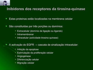 Inibidores dos receptores da tirosina-quinase  Estas proteinas estão localizadas na membrana celular São constituidas por três porções ou domínios: Extracelular (domínio de ligação ou ligando) Intramembranar Intracelular (actividade tirosina quinase)  A activação do EGFR  ->  cascata de sinalização intracelular: Inibição da apoptose Estimulação da proliferação celular  Angiogénese  Diferenciação celular  Migração celular   