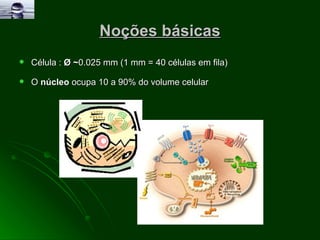 Noções básicas Célula :  Ø ~ 0.025 mm (1 mm = 40 células em fila) O  núcleo  ocupa 10 a 90% do volume celular 