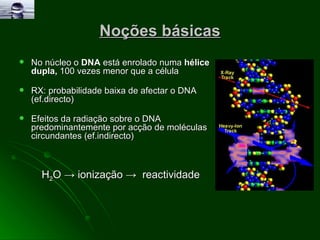 Noções básicas No núcleo o  DNA  está enrolado numa  hélice dupla,  100 vezes menor que a célula RX: probabilidade baixa de afectar o DNA (ef.directo) Efeitos da radiação sobre o DNA predominantemente por acção de moléculas circundantes (ef.indirecto)  H 2 O -> ionização ->  reactividade 