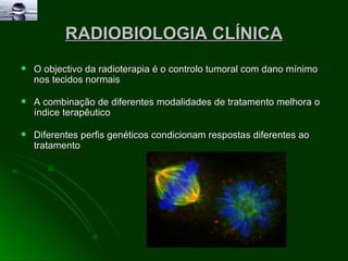 RADIOBIOLOGIA CLÍNICA O objectivo da radioterapia é o controlo tumoral com dano mínimo nos tecidos normais A combinação de diferentes modalidades de tratamento melhora o índice terapêutico Diferentes perfis genéticos condicionam respostas diferentes ao tratamento  