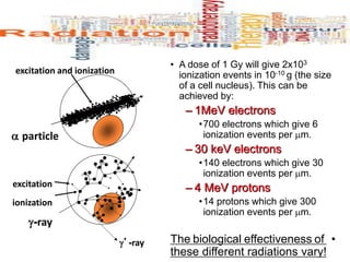 • A dose of 1 Gy will give 2x103
ionization events in 10-10 g (the size
of a cell nucleus). This can be
achieved by:
– 1MeV electrons
•700 electrons which give 6
ionization events per m.
– 30 keV electrons
•140 electrons which give 30
ionization events per m.
– 4 MeV protons
•14 protons which give 300
ionization events per m.
•
The biological effectiveness of
these different radiations vary!
-ray
’-ray
excitation
ionization
 particle
excitation and ionization
 
