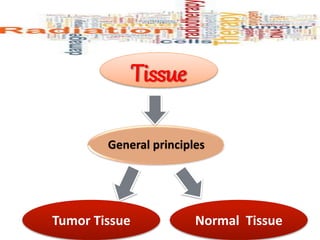 Tissue
General principles
Tumor Tissue Normal Tissue
 