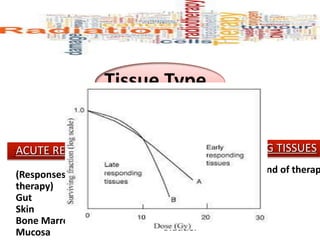 Tissue Type
SACUTE RESPONDING TISSUE LATE RESPONDING TISSUES
(Responses seen during standard
therapy)
Gut
Skin
Bone Marrow
Mucosa
(Responses seen after end of therap
Brain
Spinal Cord
Kidney
Lung
Bladder
 