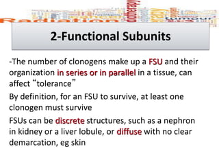 -The number of clonogens make up a FSU and their
organization in series or in parallel in a tissue, can
affect “tolerance”
By definition, for an FSU to survive, at least one
clonogen must survive
FSUs can be discrete structures, such as a nephron
in kidney or a liver lobule, or diffuse with no clear
demarcation, eg skin
2-Functional Subunits
 