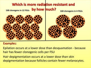168 clonogens in 12 FSUs 168 clonogens in 4 FSUs
Which is more radiation resistant and
by how much?
Examples:
Epilation occurs at a lower dose than desquamation - because
hair has fewer clonogenic cells per FSU
Hair depigmentation occurs at a lower dose than skin
depigmentation because follicles contain fewer melanocytes.
 