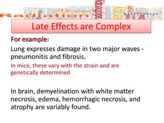 Late Effects are Complex
For example:
Lung expresses damage in two major waves -
pneumonitis and fibrosis.
In mice, these vary with the strain and are
genetically determined
In brain, demyelination with white matter
necrosis, edema, hemorrhagic necrosis, and
atrophy are variably found.
 