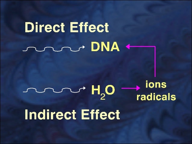 radiation biology