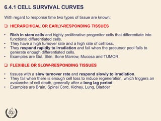 Fundamentals of Radiobiology: Cell Survival and Dose Response Models | PDF