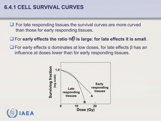 Fundamentals of Radiobiology: Cell Survival and Dose Response Models | PDF