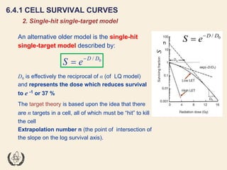 Fundamentals of Radiobiology: Cell Survival and Dose Response Models | PDF