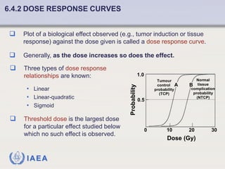 Fundamentals of Radiobiology: Cell Survival and Dose Response Models | PDF