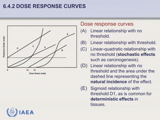 Fundamentals of Radiobiology: Cell Survival and Dose Response Models | PDF