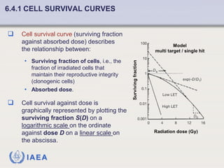 Fundamentals of Radiobiology: Cell Survival and Dose Response Models | PDF