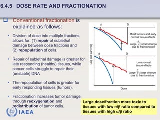 Fundamentals of Radiobiology: Cell Survival and Dose Response Models | PDF